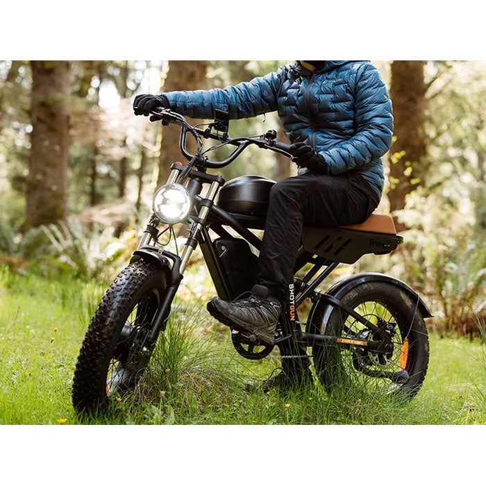 Freego Flash F3 Pro Max Dual Motor and Battery Electric Bike