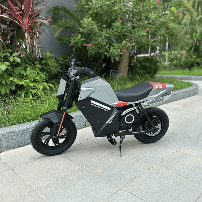 Freego K1 Electric MotorBike