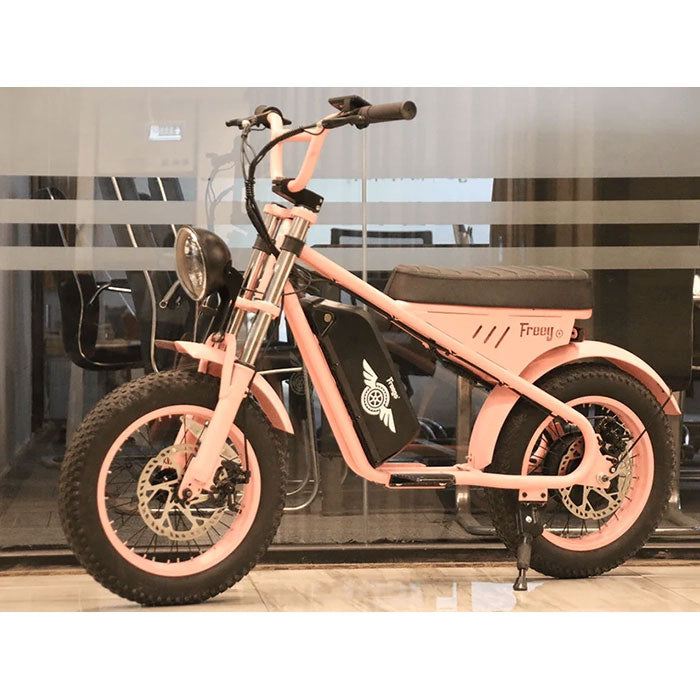Freego M1 Mini Electric Bike