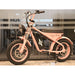 Freego M1 Mini Electric Bike