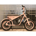 Freego M1 Mini Electric Bike