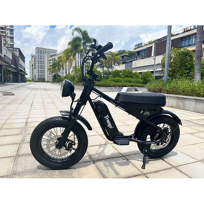 Freego M1 Mini Electric Bike