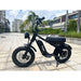 Freego M1 Mini Electric Bike
