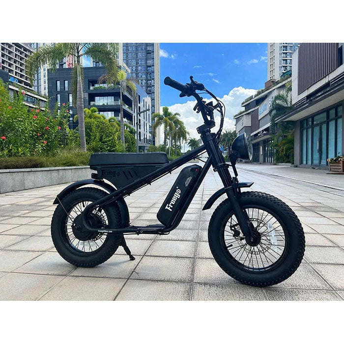 Freego M1 Mini Electric Bike