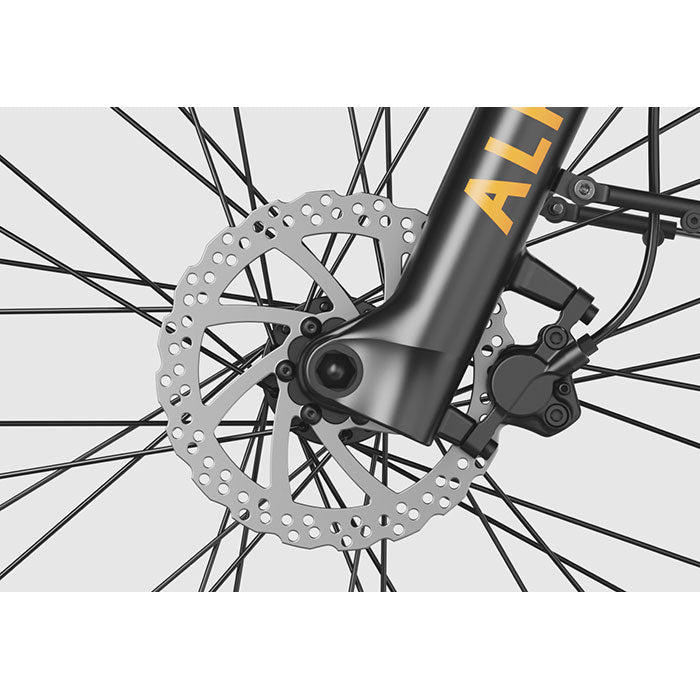 Heybike Alpha Electric Bike