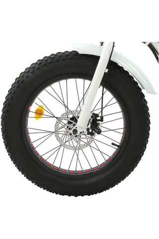Ecotric Dolphin 36V/12.5Ah 500W UL Certified Folding Fat Tire Electric Bike