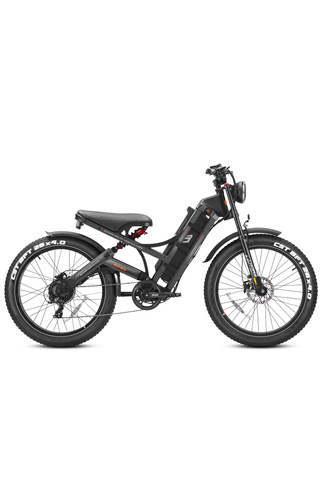 Image of Eahora Romeo Off-Road 1000W Electric Bike