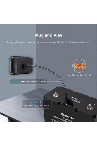 Image of Renogy Monitoring Screen for Smart Lithium Battery Series