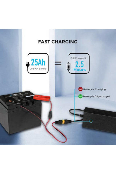 Renogy 24V 10A AC-to-DC LFP Portable Battery Charger