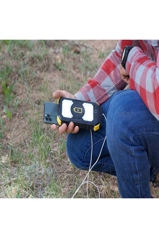 Image of Lion Energy Prowler Portable Charger - Renewable Outdoors