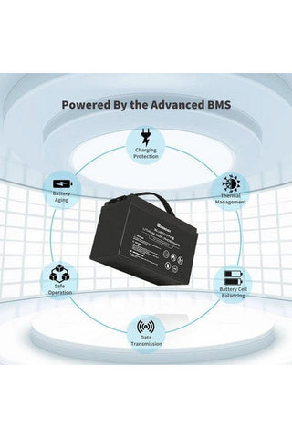 Image of Renogy 12V 100Ah Lithium Iron Phosphate Battery with Bluetooth