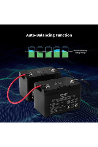 Image of Renogy 12V 100Ah Lithium Iron Phosphate Battery with Self Heating Function