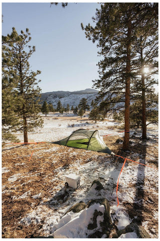 Image of Tentsile Stingray 3 Person Tree Tent
